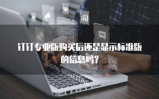 钉钉专业版购买后还是显示标准版的信息吗?