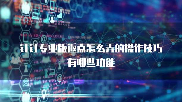 钉钉专业版返点怎么弄的操作技巧有哪些功能