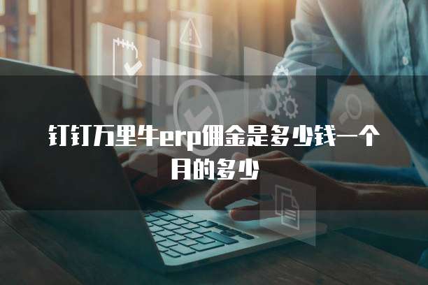 钉钉万里牛erp佣金是多少钱一个月的多少