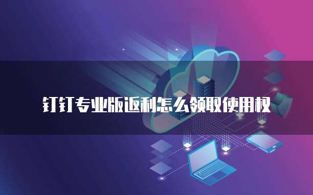 钉钉专业版返利怎么领取使用权