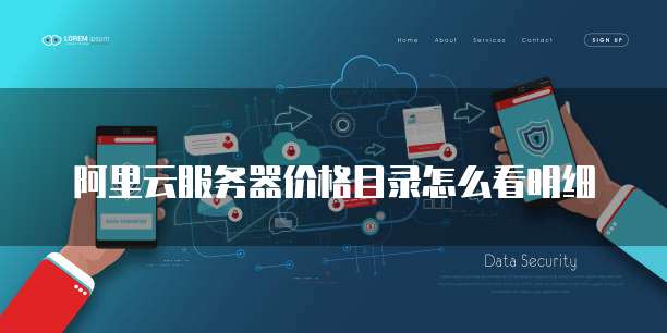 阿里云服务器价格目录怎么看明细