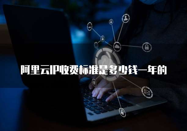 阿里云IP收费标准是多少钱一年的