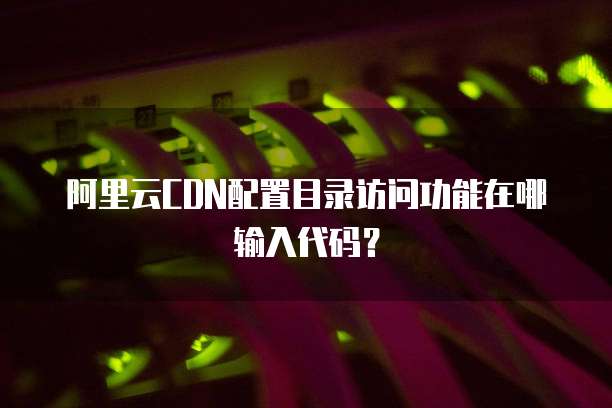 阿里云CDN配置目录访问功能在哪输入代码？