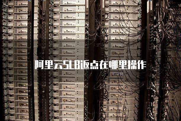 阿里云SLB返点在哪里操作