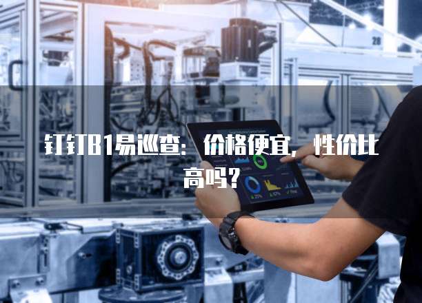 钉钉B1易巡查:价格便宜,性价比高吗?
