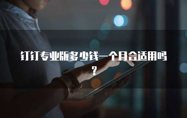 钉钉专业版多少钱一个月合适用吗?