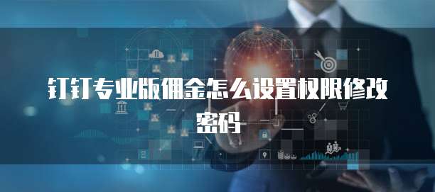 钉钉专业版佣金怎么设置权限修改密码