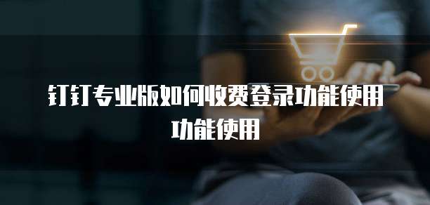 钉钉专业版如何收费登录功能使用功能使用