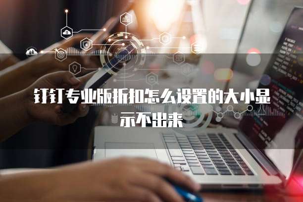 钉钉专业版折扣怎么设置的大小显示不出来