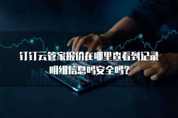 钉钉云管家报价在哪里查看到记录明细信息吗安全吗?