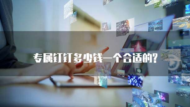 专属钉钉多少钱一个合适的?