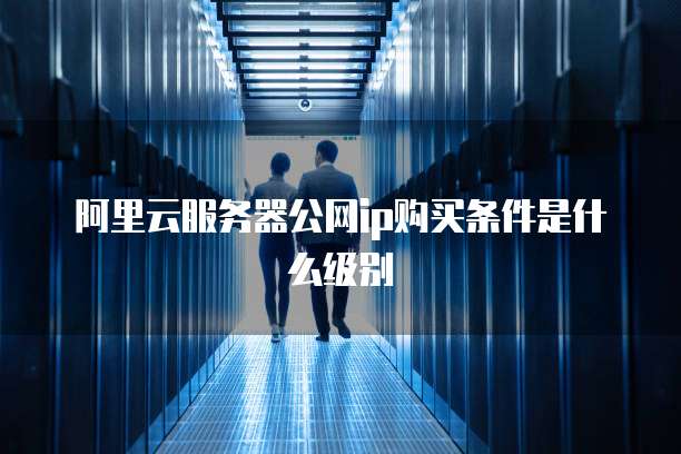 阿里云服务器公网ip购买条件是什么级别
