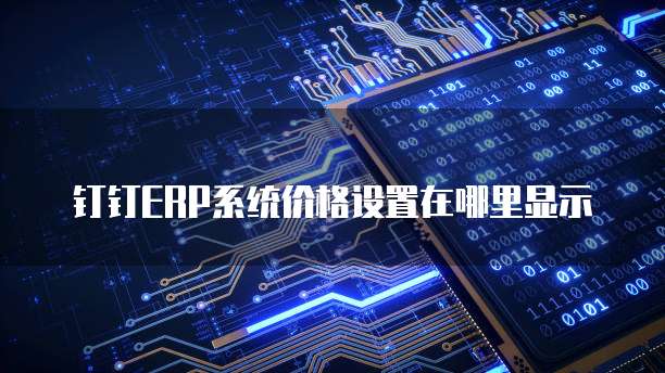 钉钉ERP系统价格设置在哪里显示