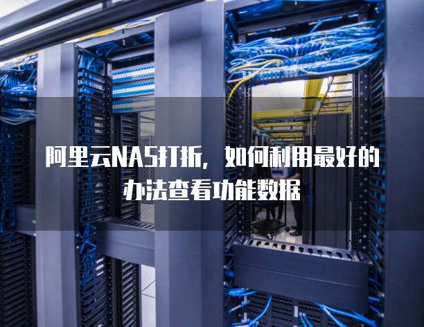 阿里云NAS打折,如何利用最好的办法查看功能数据