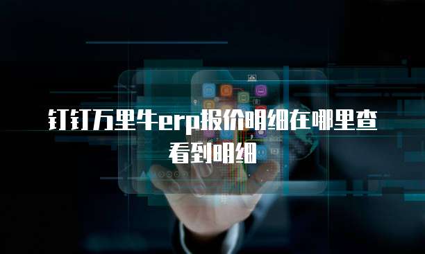 钉钉万里牛erp报价明细在哪里查看到明细