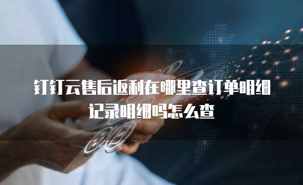 钉钉云售后返利在哪里查订单明细记录明细吗怎么查