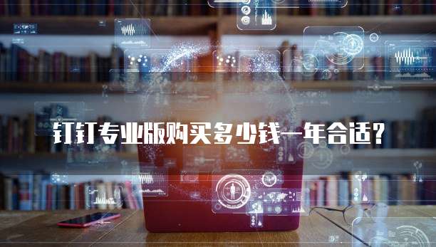 钉钉专业版购买多少钱一年合适?