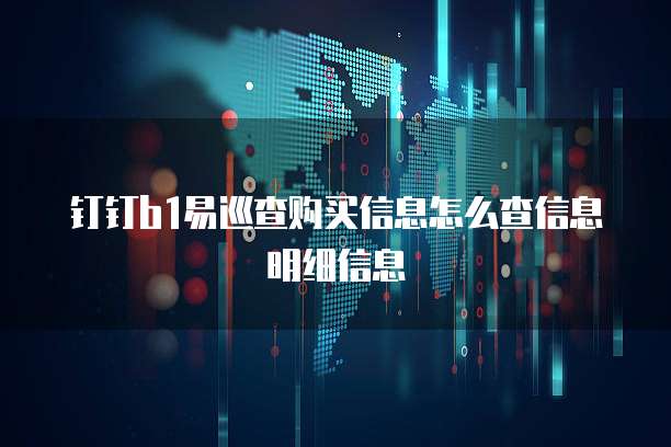 钉钉b1易巡查购买信息怎么查信息明细信息