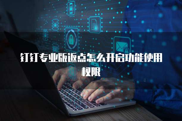 钉钉专业版返点怎么开启功能使用权限