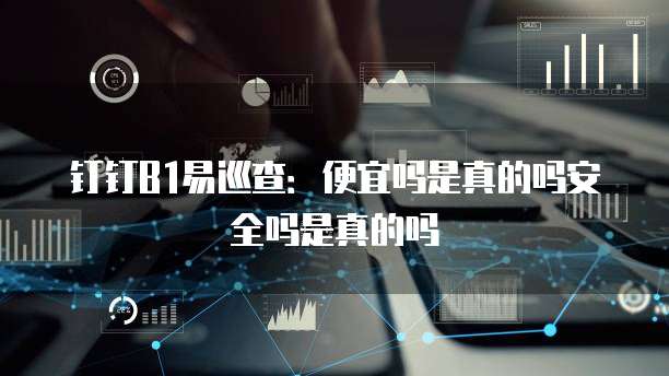 钉钉B1易巡查:便宜吗是真的吗安全吗是真的吗