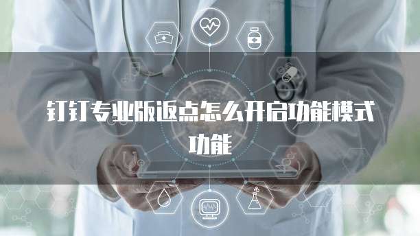 钉钉专业版返点怎么开启功能模式功能