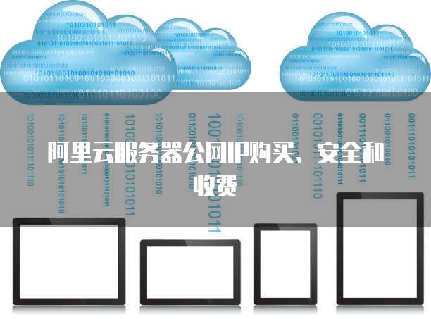 阿里云服务器公网IP购买、安全和收费