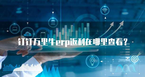钉钉万里牛erp返利在哪里查看？