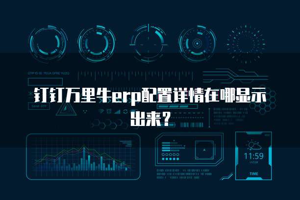 钉钉万里牛erp配置详情在哪显示出来？