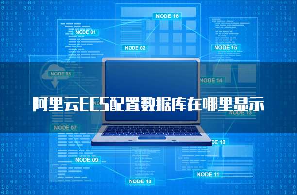 阿里云ECS配置数据库在哪里显示