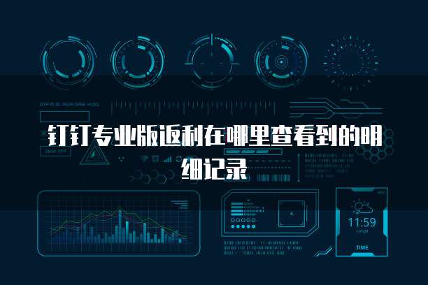 钉钉专业版返利在哪里查看到的明细记录