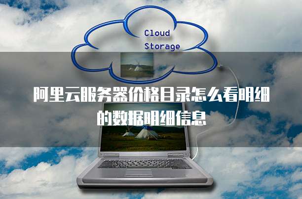 阿里云服务器价格目录怎么看明细的数据明细信息