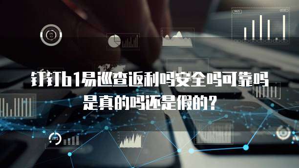 钉钉b1易巡查返利吗安全吗可靠吗是真的吗还是假的?