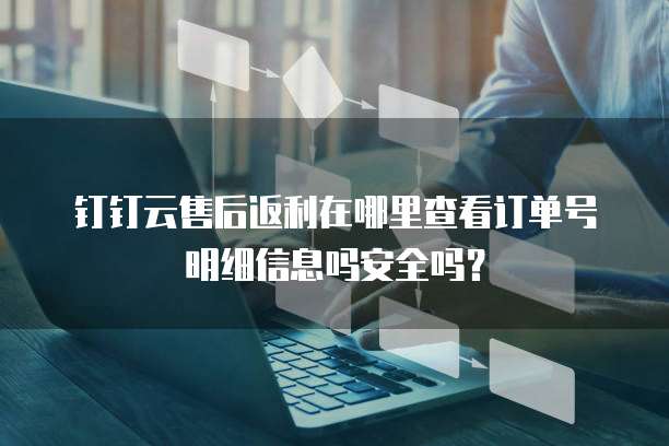 钉钉云售后返利在哪里查看订单号明细信息吗安全吗?