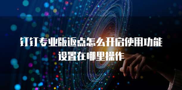 钉钉专业版返点怎么开启使用功能设置在哪里操作