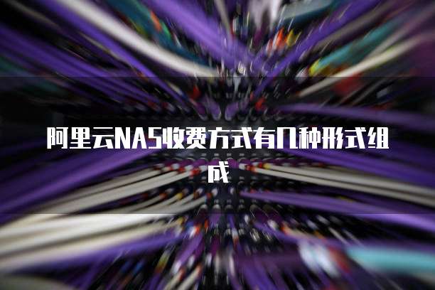 阿里云NAS收费方式有几种形式组成