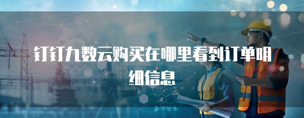 钉钉九数云购买在哪里看到订单明细信息
