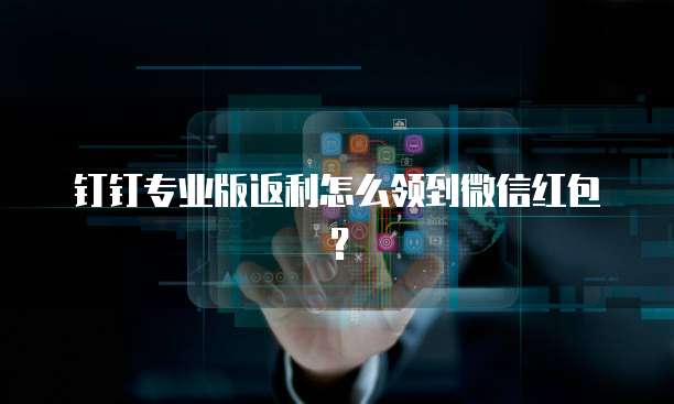 钉钉专业版返利怎么领到微信红包?