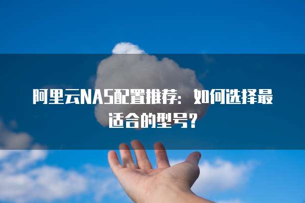 阿里云NAS配置推荐:如何选择最适合的型号?