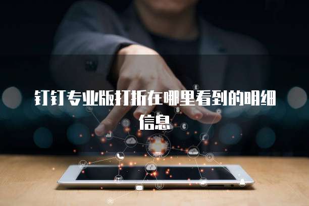 钉钉专业版打折在哪里看到的明细信息
