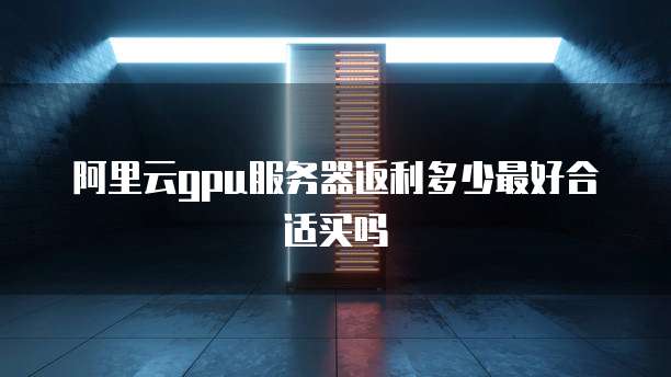 阿里云gpu服务器返利多少最好合适买吗