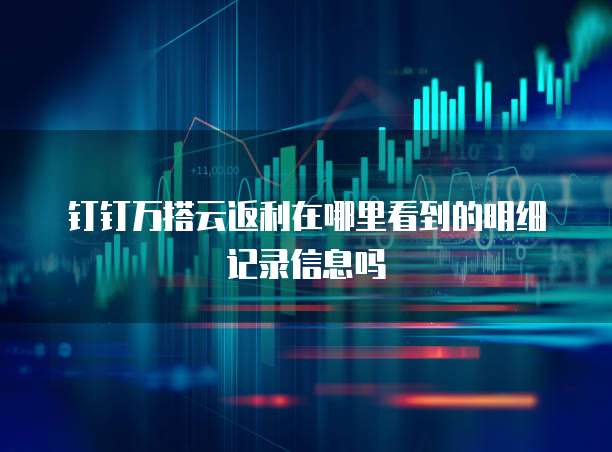 钉钉万搭云返利在哪里看到的明细记录信息吗