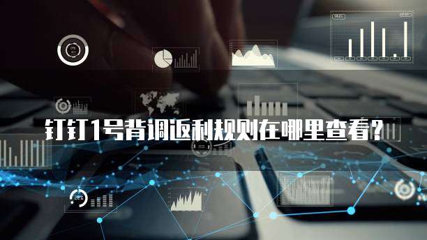 钉钉1号背调返利规则在哪里查看?