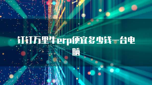钉钉万里牛erp便宜多少钱一台电脑