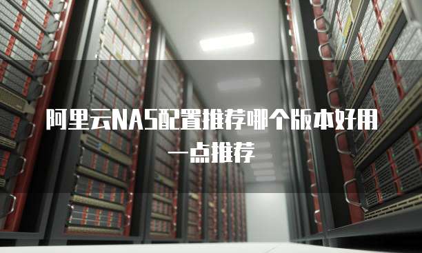 阿里云NAS配置推荐哪个版本好用一点推荐