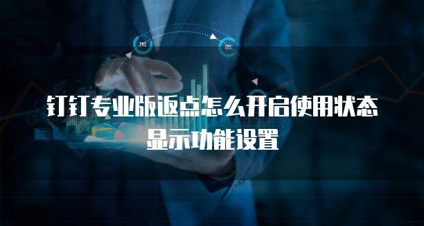 钉钉专业版返点怎么开启使用状态显示功能设置