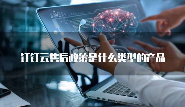 钉钉云售后政策是什么类型的产品