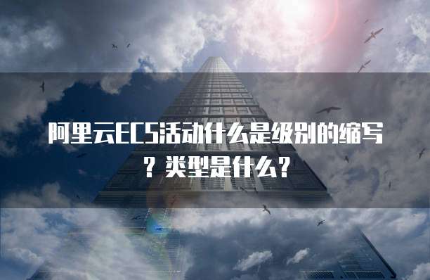 阿里云ECS活动什么是级别的缩写？类型是什么？