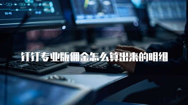 钉钉专业版佣金怎么算出来的明细