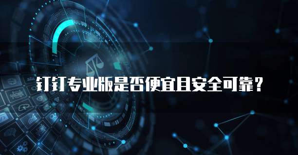 钉钉专业版是否便宜且安全可靠?