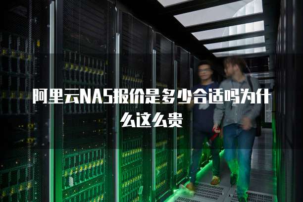 阿里云NAS报价是多少合适吗为什么这么贵